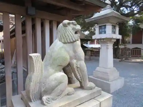 乃木神社の狛犬