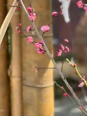 出雲大社相模分祠(神奈川県)
