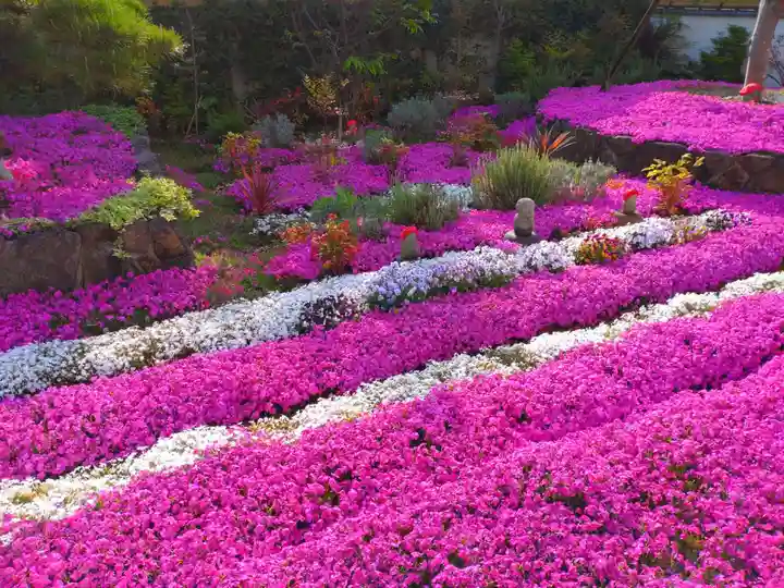 寿量山 速成寺の自然