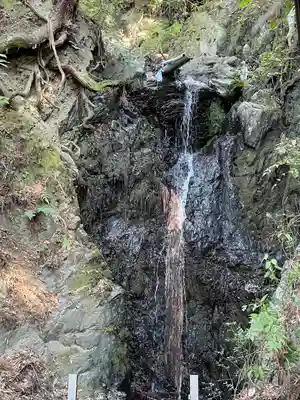 熊野若王子神社の周辺