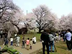 実相寺の周辺