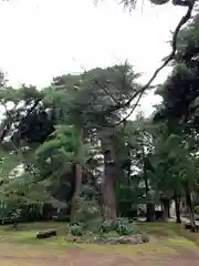 三寳寺の建物その他