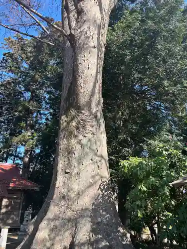 向田神社(栃木県)