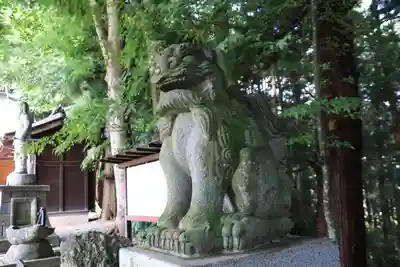 白和瀬神社の狛犬