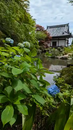 善峯寺(京都府)