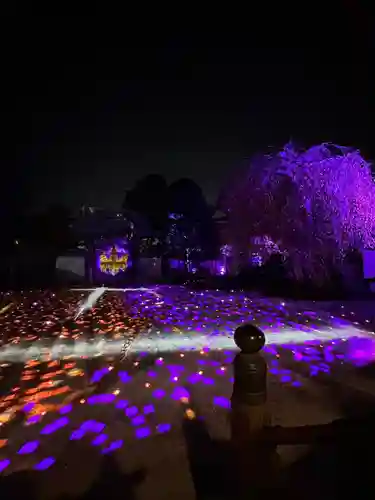 高台寺（高台寿聖禅寺・高臺寺）(京都府)