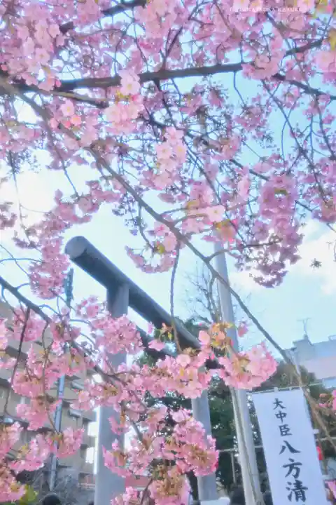 桜神宮(東京都)