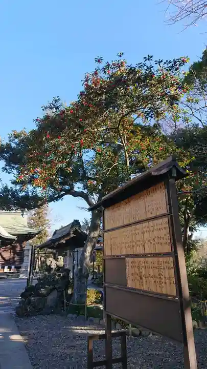 菊田神社のその他建物