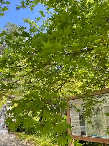 普門寺(切り絵御朱印発祥の寺)のその他建物