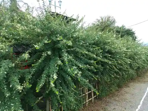 寺岡山元三大師の自然