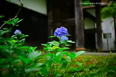 円覚寺(神奈川県)