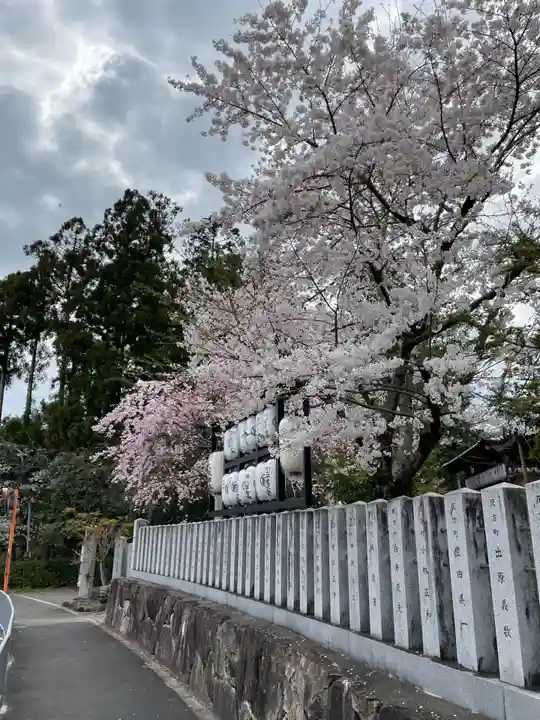 大歳神社(京都府)