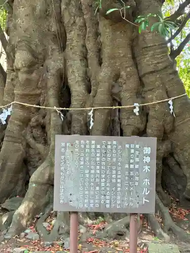 下多賀神社の{uncategorized: "未分類", other: "その他", undefined: "問題あり", building: "その他建物", grave: "お墓", sacred_gate: "鳥居", guardian: "狛犬", statue: "像", buddha: "仏像", history: "歴史", nature: "自然", garden: "庭園", animal: "動物", pagoda: "塔", temizu: "手水舎", mountain_gate: "山門・神門", sanctuary: "本殿・本堂", subordinate: "末社・摂社", art: "芸術", scenery: "景色", jizo: "地蔵", ema: "絵馬", goshuin: "御朱印", omikuji: "おみくじ", items: "授与品その他", amulet: "お守り", goshuincho: "御朱印帳", eats: "食事", festival: "お祭り", votive_dance: "神楽", shichigosan: "七五三参", wedding: "結婚式", experience: "体験その他", initially: "初詣", around: "周辺", anti_infection: "感染症対策"}