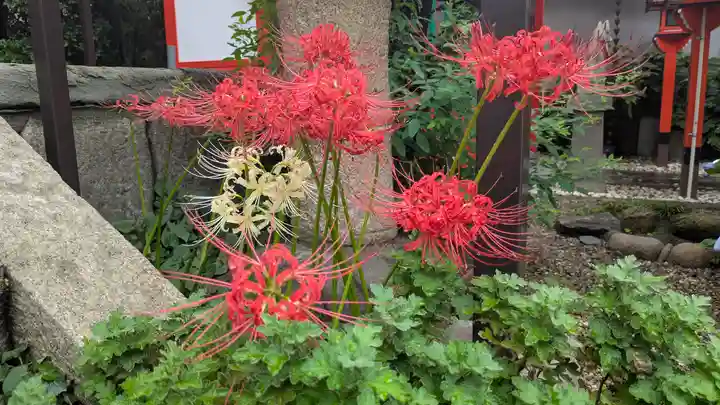 長宝寺(大阪府)