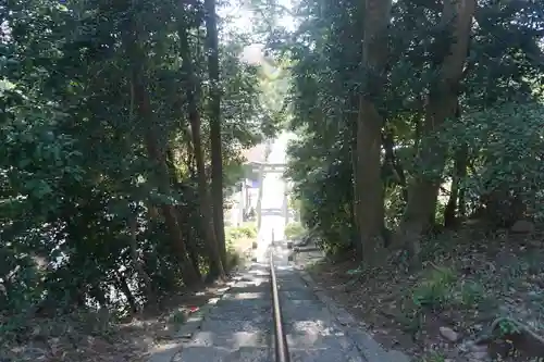 日吉神社の建物その他