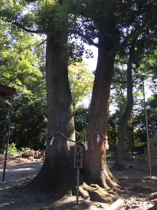 男神社のその他建物