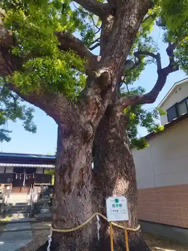 大神社(大阪府)