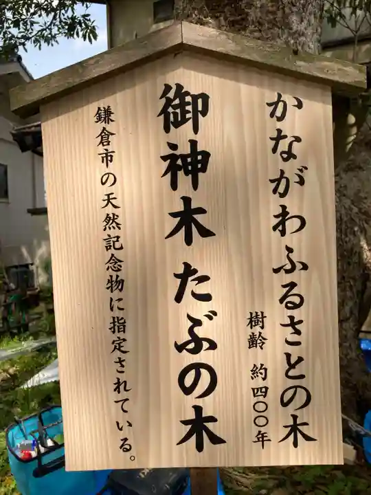 御霊神社(神奈川県)