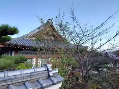 法禅寺(大阪府)