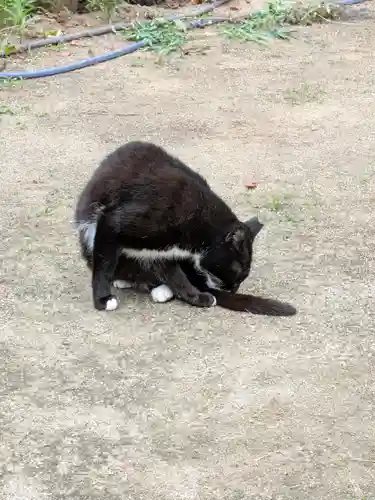 岡部春日神社～👹鬼門よけの🌺花咲く🌺やしろ～(福島県)