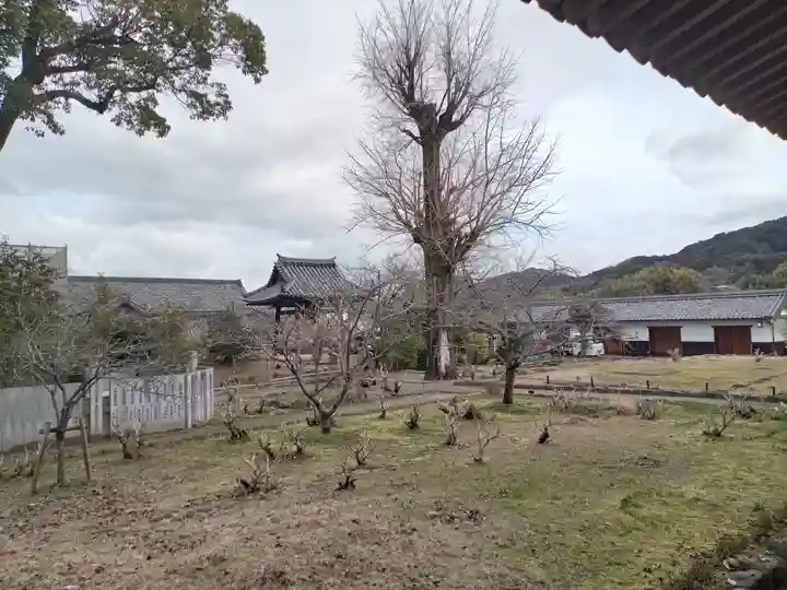 橘寺(奈良県)