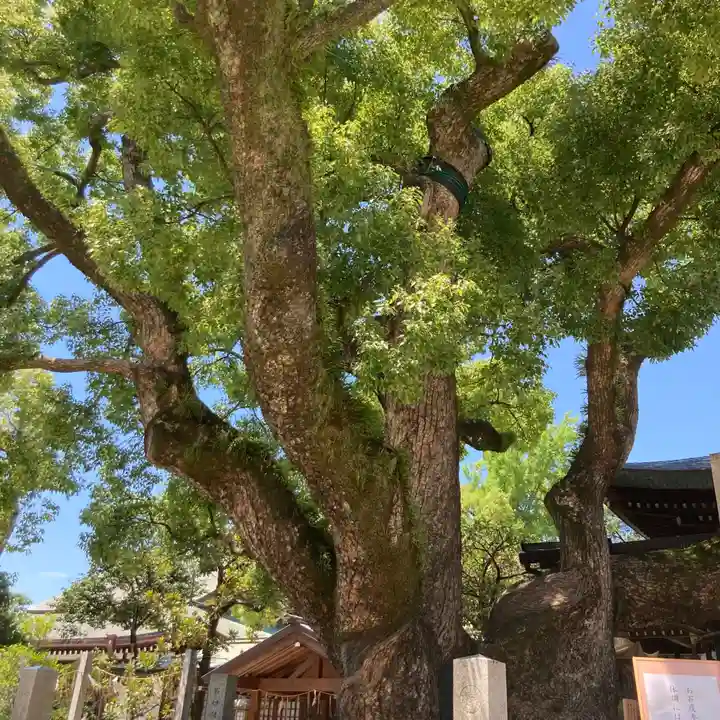 石切劔箭神社の自然