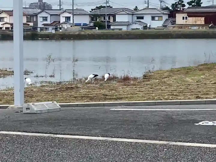 常徳寺(兵庫県)