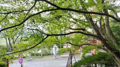 出雲大神宮(京都府)