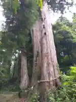 三嶋神社(福井県)