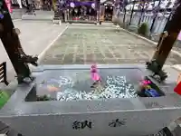 成田山札幌別院新栄寺の手水舎