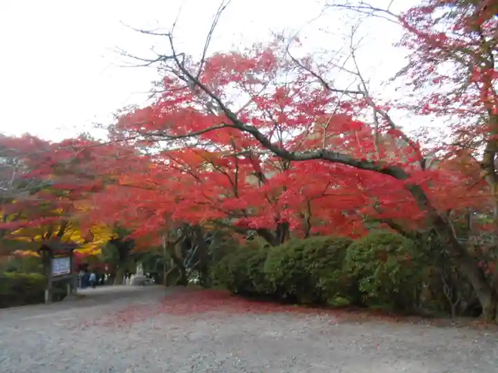 園城寺(三井寺)(滋賀県)
