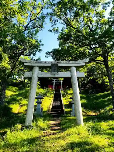 小萩山稲荷神社の鳥居