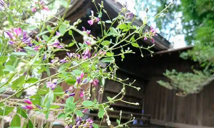 阿邪訶根神社の自然