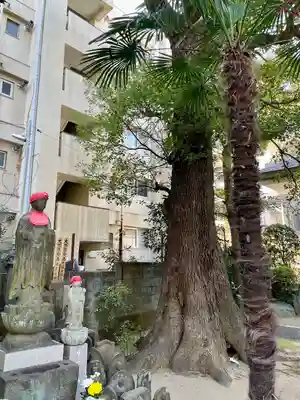 成願寺(神奈川県)