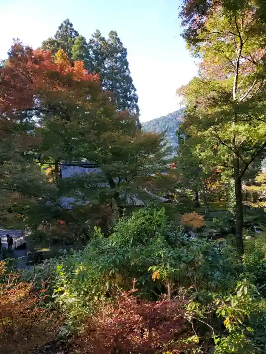 三千院門跡の{uncategorized: "未分類", other: "その他", undefined: "問題あり", building: "その他建物", grave: "お墓", sacred_gate: "鳥居", guardian: "狛犬", statue: "像", buddha: "仏像", history: "歴史", nature: "自然", garden: "庭園", animal: "動物", pagoda: "塔", temizu: "手水舎", mountain_gate: "山門・神門", sanctuary: "本殿・本堂", subordinate: "末社・摂社", art: "芸術", scenery: "景色", jizo: "地蔵", ema: "絵馬", goshuin: "御朱印", omikuji: "おみくじ", items: "授与品その他", amulet: "お守り", goshuincho: "御朱印帳", eats: "食事", festival: "お祭り", votive_dance: "神楽", shichigosan: "七五三参", wedding: "結婚式", experience: "体験その他", initially: "初詣", around: "周辺", anti_infection: "感染症対策"}