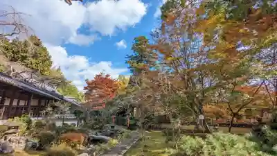 十輪寺(京都府)