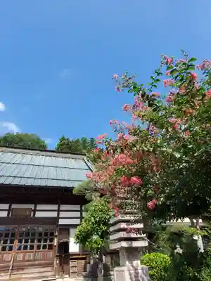 長泉寺(福島県)