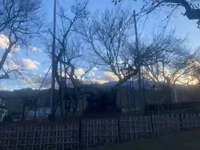 実相寺(山梨県)