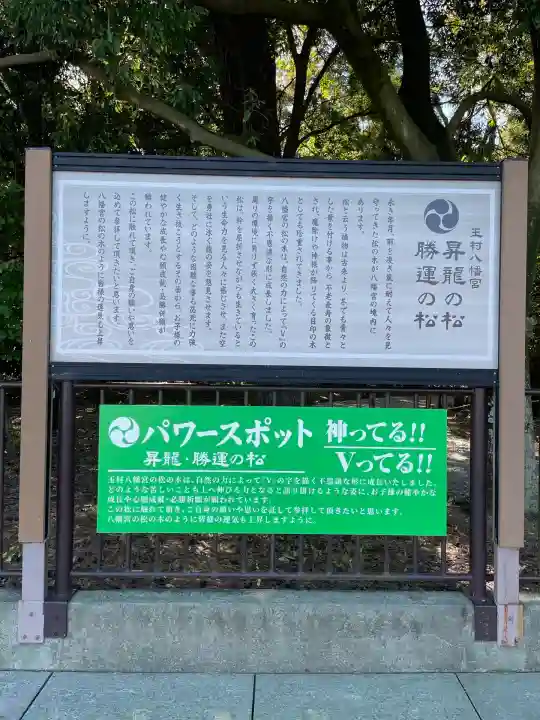 玉村八幡宮(群馬県)