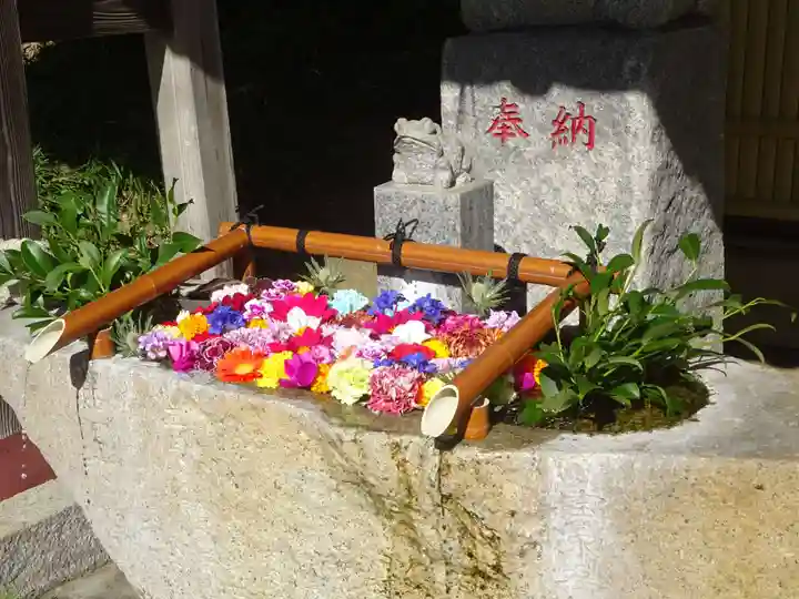 田間神社(千葉県)