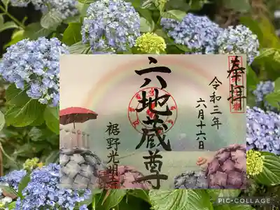 六月限定御朱印と山内の紫陽花です。
紫陽花の種類は「ウズアジサイ」、裏山にありますので、本堂や六地蔵様にお供えしています。