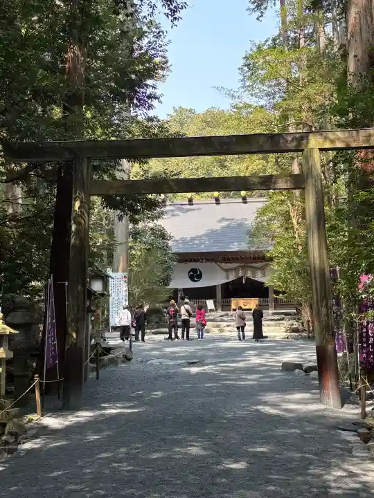 椿大神社の{uncategorized: "未分類", other: "その他", undefined: "問題あり", building: "その他建物", grave: "お墓", sacred_gate: "鳥居", guardian: "狛犬", statue: "像", buddha: "仏像", history: "歴史", nature: "自然", garden: "庭園", animal: "動物", pagoda: "塔", temizu: "手水舎", mountain_gate: "山門・神門", sanctuary: "本殿・本堂", subordinate: "末社・摂社", art: "芸術", scenery: "景色", jizo: "地蔵", ema: "絵馬", goshuin: "御朱印", omikuji: "おみくじ", items: "授与品その他", amulet: "お守り", goshuincho: "御朱印帳", eats: "食事", festival: "お祭り", votive_dance: "神楽", shichigosan: "七五三参", wedding: "結婚式", experience: "体験その他", initially: "初詣", around: "周辺", anti_infection: "感染症対策"}