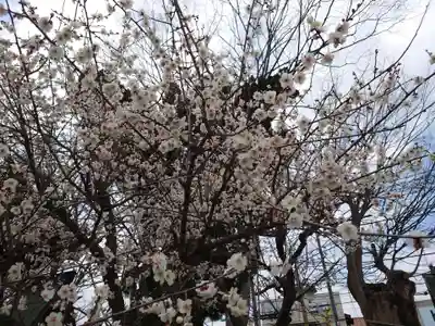 龍ケ崎八坂神社(茨城県)