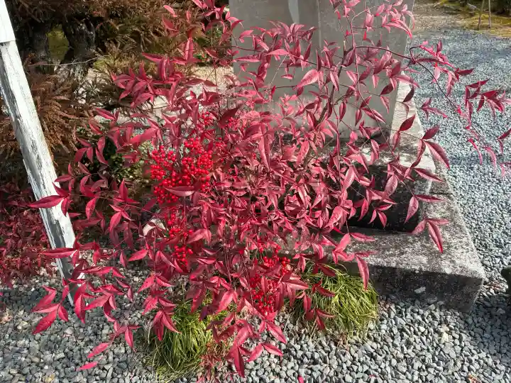 源光庵の{uncategorized: "未分類", other: "その他", undefined: "問題あり", building: "その他建物", grave: "お墓", sacred_gate: "鳥居", guardian: "狛犬", statue: "像", buddha: "仏像", history: "歴史", nature: "自然", garden: "庭園", animal: "動物", pagoda: "塔", temizu: "手水舎", mountain_gate: "山門・神門", sanctuary: "本殿・本堂", subordinate: "末社・摂社", art: "芸術", scenery: "景色", jizo: "地蔵", ema: "絵馬", goshuin: "御朱印", omikuji: "おみくじ", items: "授与品その他", amulet: "お守り", goshuincho: "御朱印帳", eats: "食事", festival: "お祭り", votive_dance: "神楽", shichigosan: "七五三参", wedding: "結婚式", experience: "体験その他", initially: "初詣", around: "周辺", anti_infection: "感染症対策"}