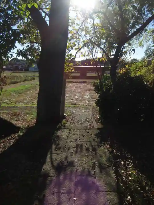 神明神社(千葉県)