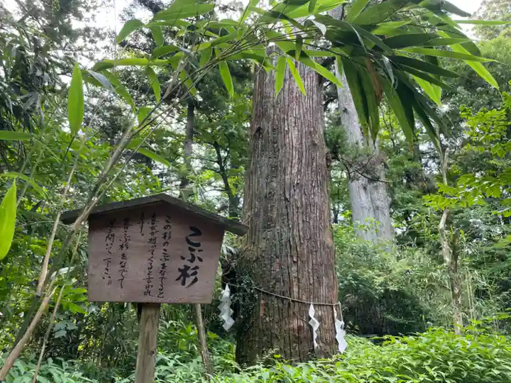 本宮神社(日光二荒山神社別宮)(栃木県)