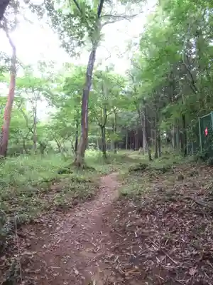 賀茂別雷神社(栃木県)