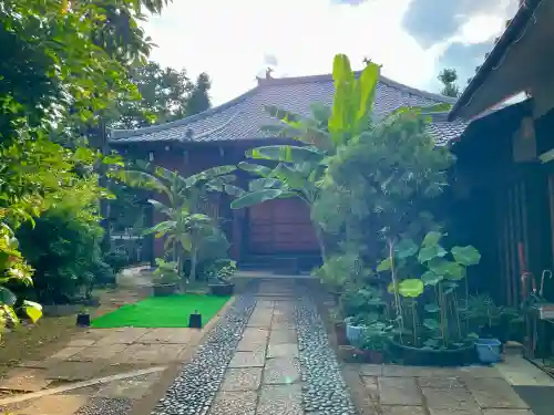 洞雲寺(東京都)