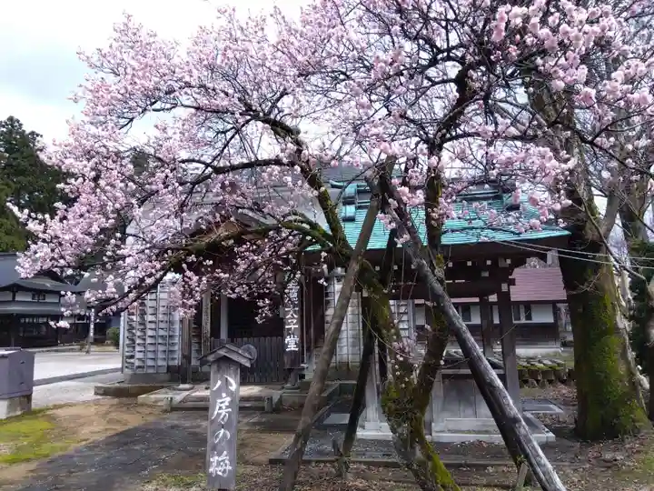 浄興寺(新潟県)