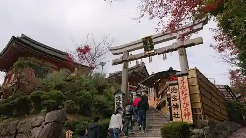 地主神社の鳥居